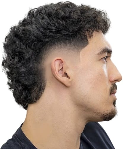 Mullet fade Hairstyle showcase